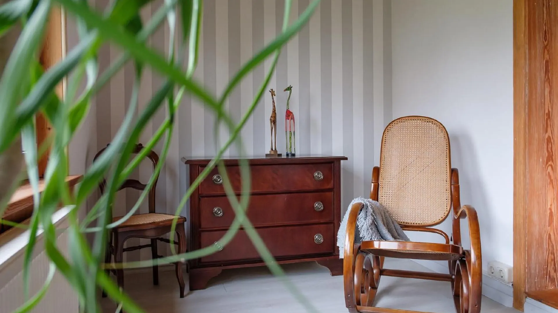 Ferienwohnung Loschwitz Dresden Apartamento